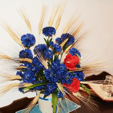 Bed & Breakfast La Villa Di Arezzo