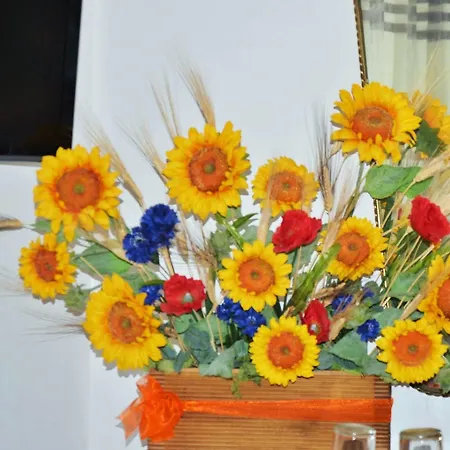La Villa Di Arezzo Bed & Breakfast Arezzo