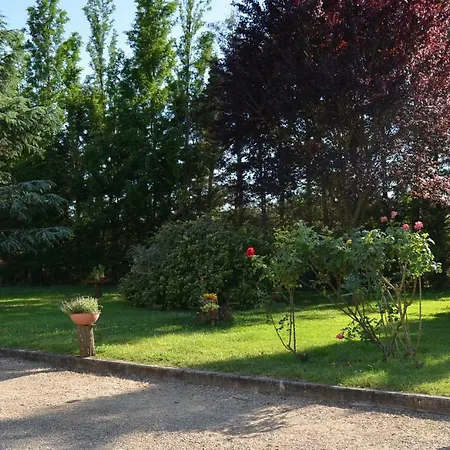 La Villa Di Arezzo Bed & Breakfast Arezzo